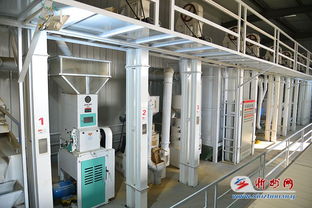 代縣雁門關鄉(xiāng)小雜糧加工廠建成投產